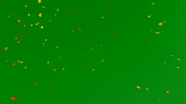 Φύλλα φθινοπωρινών πετάγματος, ενάντια στην πράσινη οθόνη αποχρώσεων, 4K — Αρχείο Βίντεο