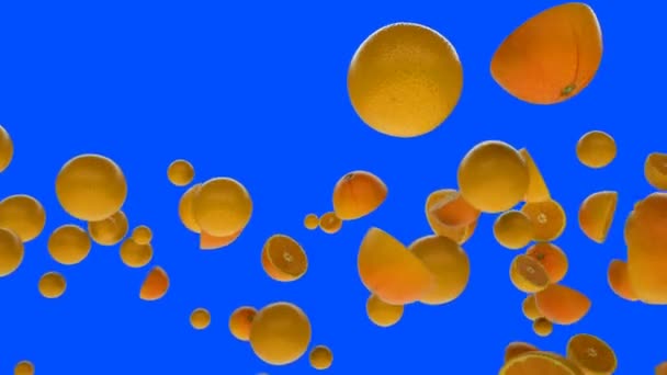 Oranges fraîches volant au ralenti contre l’écran bleu — Video