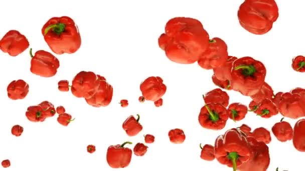 Red Bell Pepper Vliegen Slow Motion Tegen Wit — Stockvideo