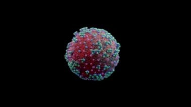 Coronavirus CoVid19 'un 3D modeli kusursuz döngü, Luma Matte takılı.