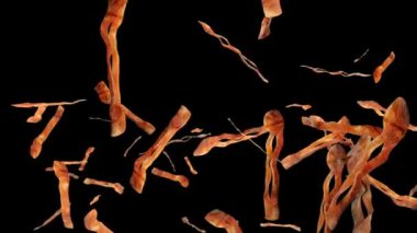 Kızarmış pastırma yavaş çekimde uçuyor, Luma Matte takılı.