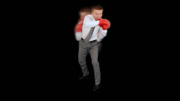 Boxing Full Length Luma Matte Businessman Boxing — 비디오