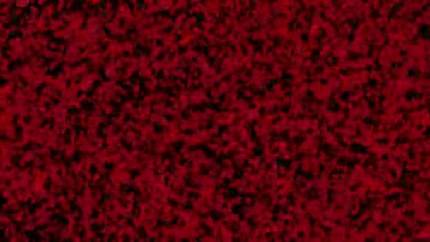 Close Blood Cells Flow Luma Matte Attached — Stock Video