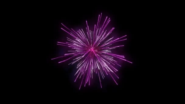 Fireworks Holiday Background Luma Matte Attached — Stock Video
