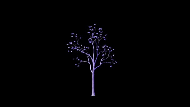 Funky Looking Tree Timelapse Growing Luma Matte Attached — Stock video