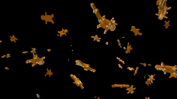 Дзижчальця Літають Повільному Русі Прикріплений — стокове відео