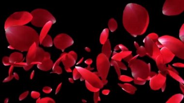 Yavaş çekimde uçan gül yaprakları, Luma Matte