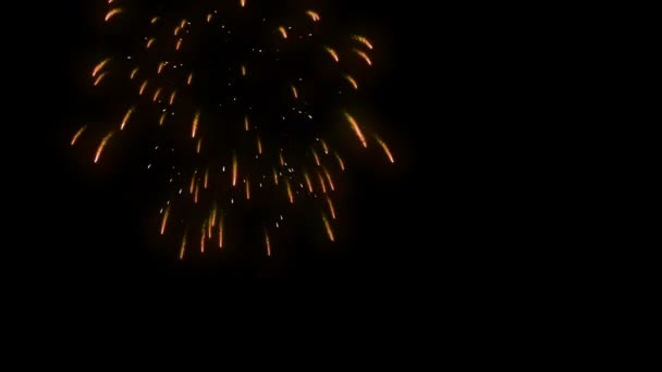 Holiday Fireworks Display Luma Matte Attached — Stock Video