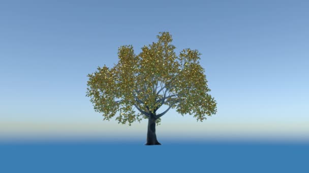 Drzewo Szklane Prunus Złotymi Liśćmi Timelapse Rośnie Luma Matte Dołączone — Wideo stockowe