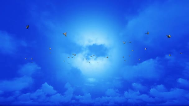 Летять Голуби Прикріплені Лума Матте — стокове відео