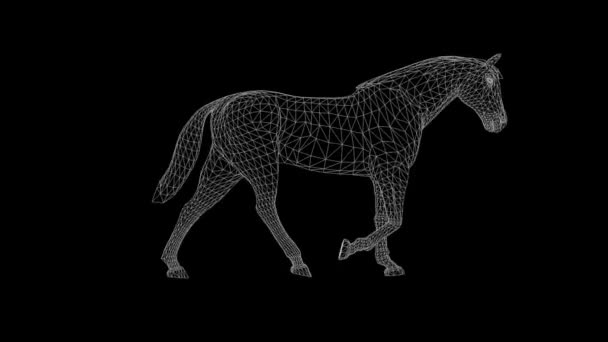 Wireframe Horse Walk Pętla Bez Szwu Luma Matte Dołączony — Wideo stockowe