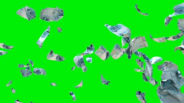 Brazil Reais Currency Flying Slow Motion Green Screen — Stock Video