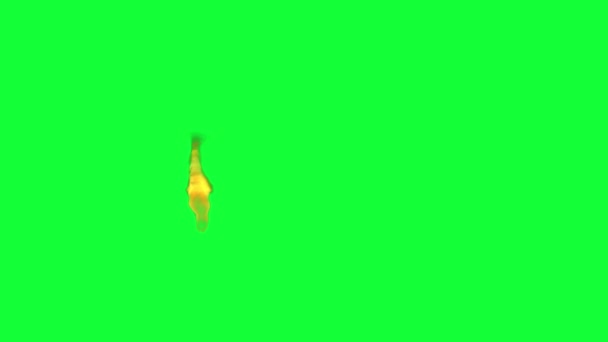 Kreis Des Feuers Green Screen Chromakey — Stockvideo