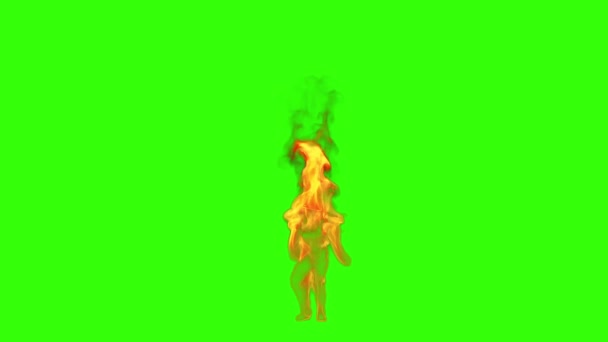 Δροσερό Κορίτσι Σιλουέτα Στις Φλόγες Κάνει Ένα Σέξι Χορό Πράσινο — Αρχείο Βίντεο