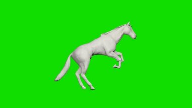 Kağıt at koşuyor ve zıplıyor, kusursuz döngü, Yeşil Ekran Chromakey