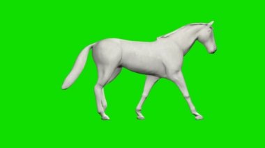 Kağıt at yürüyüşü, kusursuz döngü, Yeşil Ekran Kromakusu