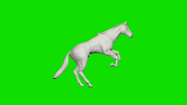 Papírový Kůň Běží Skákání Bezešvé Smyčky Green Screen Chromakey — Stock video