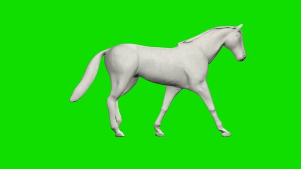Paper Horse Walking Nahtlose Schleife Green Screen Chromakey — Stockvideo