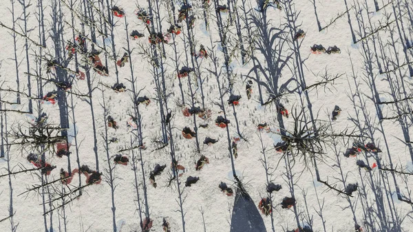 Soldados Muertos Tirados Sangre Esparcidos Por Bosque Nieve Vista Superior — Foto de Stock