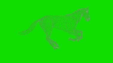 Tel çerçeve 3d koşu, kusursuz döngü, Yeşil Ekran Chromakey