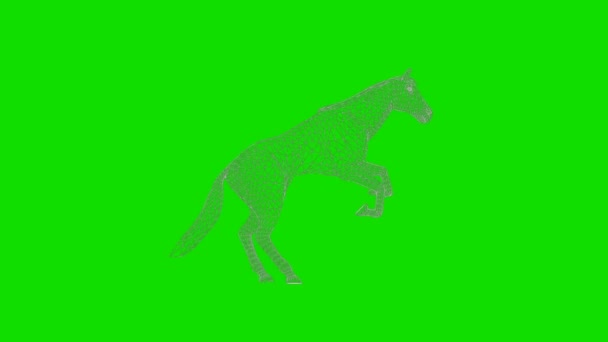 Wireframe Cavallo Che Salta Ciclo Senza Soluzione Continuità Green Screen — Video Stock