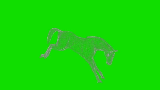 Patadas Caballo Wireframe Bucle Sin Costura Pantalla Verde Chromakey — Vídeos de Stock