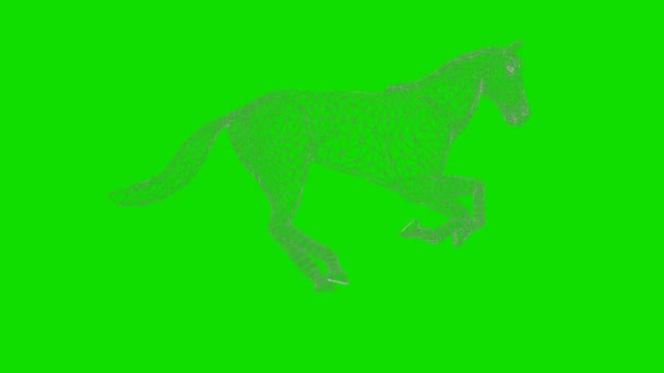 Wireframe Paard Lopen Naadloze Lus Green Screen Chromakey — Stockvideo
