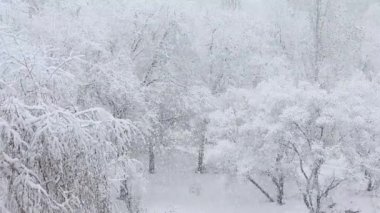 Kış city. Şehirdeki sokak üzerinde güçlü kar yağışı. Ağır çekim kar sokağa düşüyor. Karla kaplı park