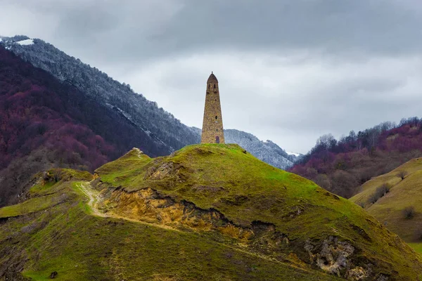 Uitzicht Bergen Uitkijktoren Het Kaukasus Gebergte Tsjetsjenië — Stockfoto