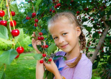 Kiraz bahçesindeki küçük bir kız. Şehrin ötesinde yaz saati. Şehir dışında tatil