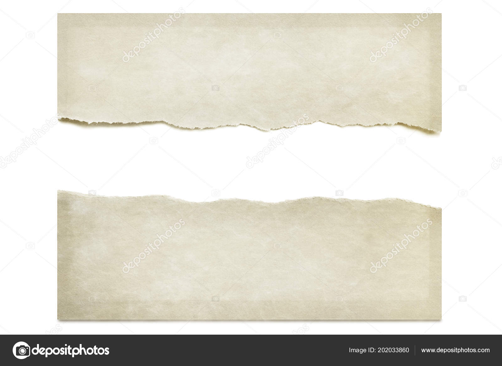 Paper Torn Half Isolated White Drop Shadow Space Text Stock Photo Image By Robynmac 202033860