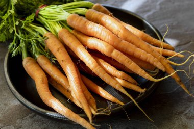 Grup çiğ bebek havuç rustik siyah arduvaz arka plan üzerinde kase.