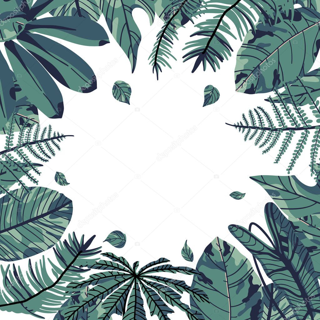 Tropical palm leaves isolated on white background. 