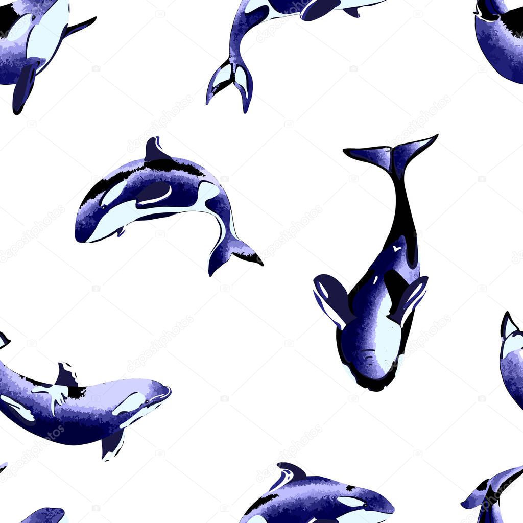 Hand drawn killer whale seamless pattern  on white backround. Perfect design element, marine animal illustration