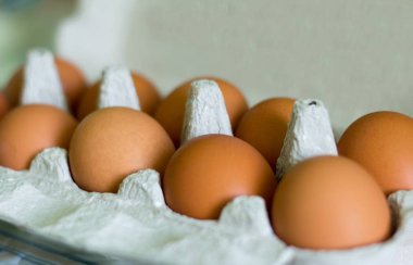 bir karton kutu içinde tavuk sarı yumurta