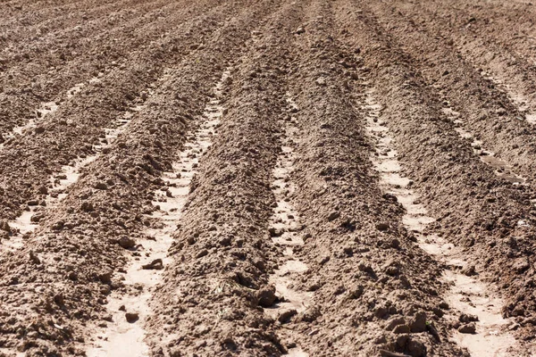 Campo Arado Para Plantación Suelo Desnudo Con Ranuras —  Fotos de Stock