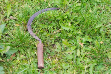  Antik tarım araçları, eski paslı orak çim üzerinde yalan.