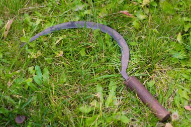  Antik tarım araçları, eski paslı orak çim üzerinde yalan.