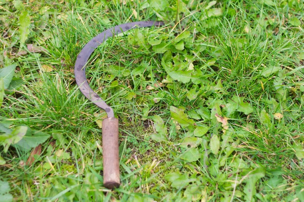 ancient agricultural tools, old rusty sickle lying on the grass.