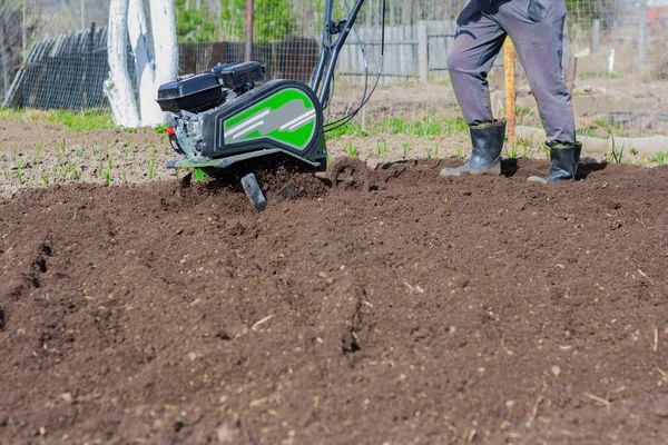 a man plowing the land with a motor-block, preparing the land for planting potatoes