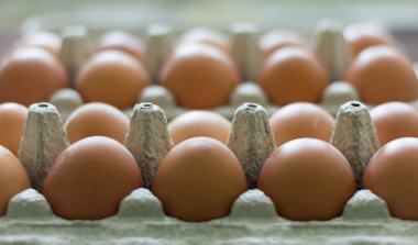 Karton kutuda tavuk yumurtası