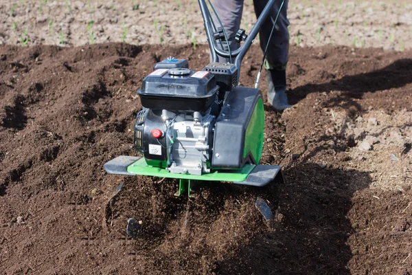a man plowing the land with a motor-block, preparing the land for planting potatoes