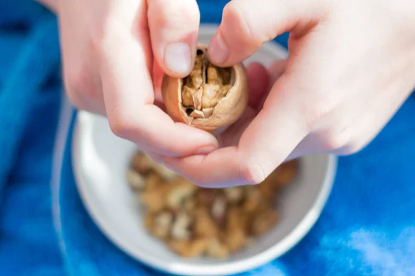 insan elleri bir ceviz tutan, kabukonu soyma