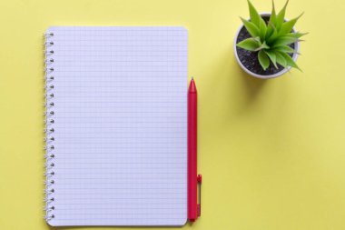 sarı arka plan üzerinde temiz damalı Not defteri ve kırmızı tükenmez kalem