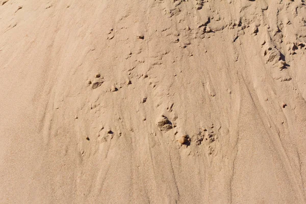 Fundo Areia Textura Areia Com Pedaços — Fotografia de Stock