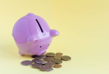 pembe kumbara ve sarı bir arka plan üzerinde para, para birikimi ve çarpımı kavramı