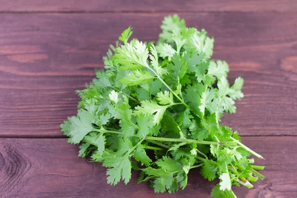 bunch of fresh green cilantro on wooden background