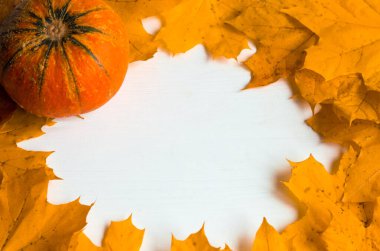 Beyaz ahşap zemin üzerinde sarı sonbahar akçaağaç yaprakları ve balkabağı, kopyalama alanı ile