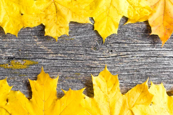 Hojas de arce amarillo otoño sobre fondo de madera viejo — Foto de Stock