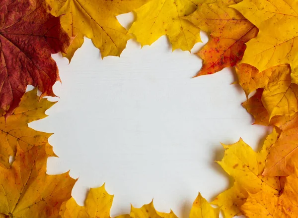 Hojas de arce amarillo otoño sobre fondo de madera blanca, con espacio para copiar — Foto de Stock